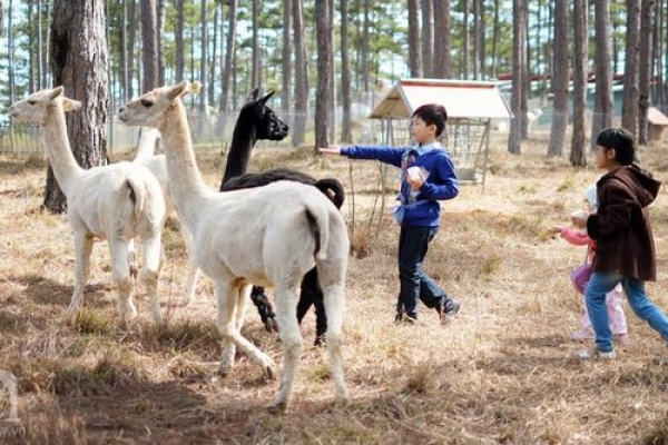 Dalat ZooDoo Zoo